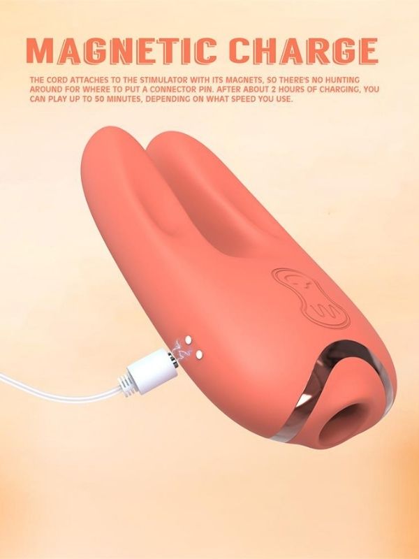 emiş ve titreşim modlu vibratör – görsel 4
