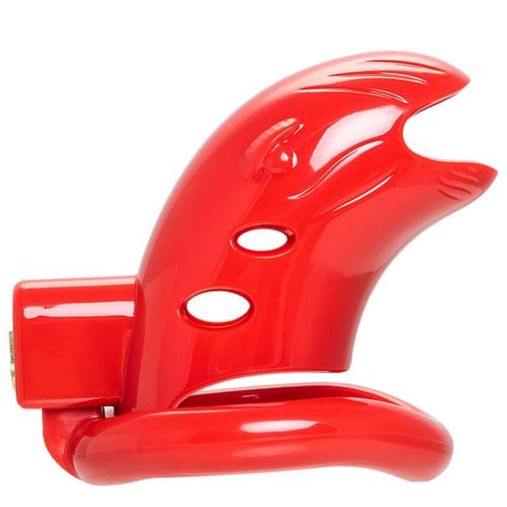 Dick Cage kilitlenebilir penis kafesi – görsel 2