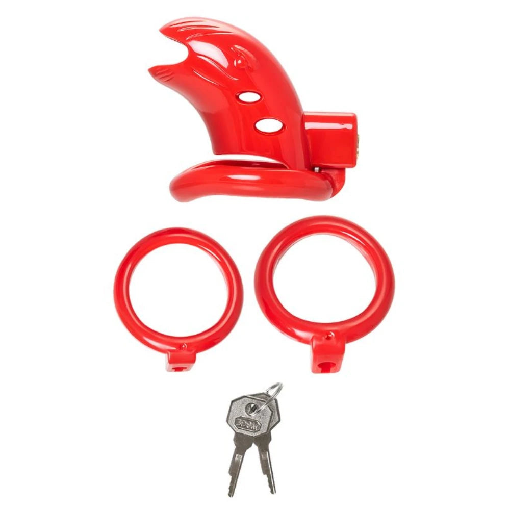 Dick Cage kilitlenebilir penis kafesi – görsel 5