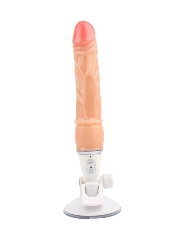 25 cm 10 modlu vantuzlu vibratör – görsel 2