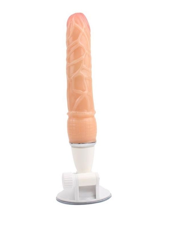 25 cm 10 modlu vantuzlu vibratör – görsel 3