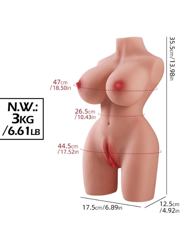 3 kg kompakt yarım vücut manken – görsel 5